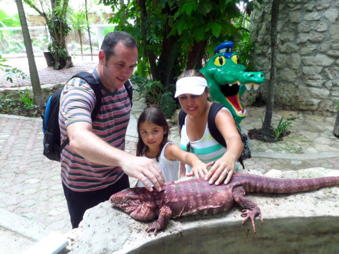 Red Reptile from Crococun Zoo
