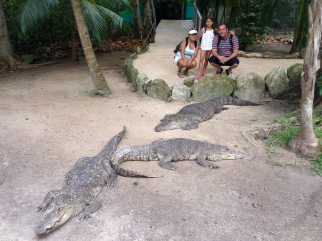 In The Crocodile Enclosure