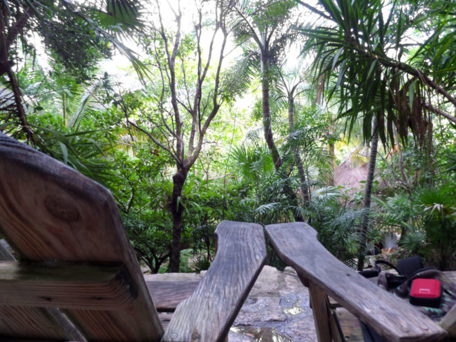 Scenic jungle rest area