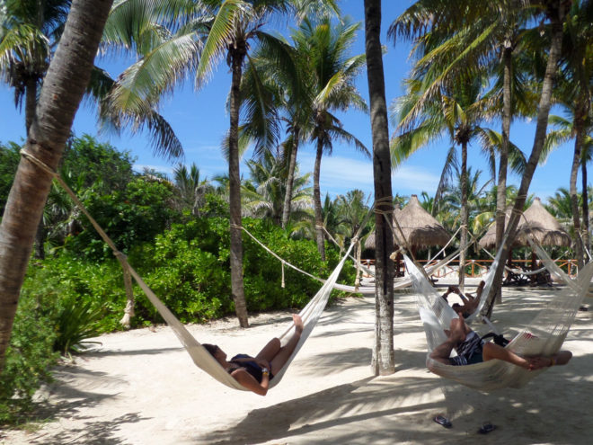 Hammock area