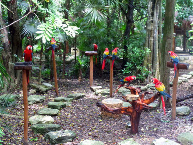 Macaw Sanctuary