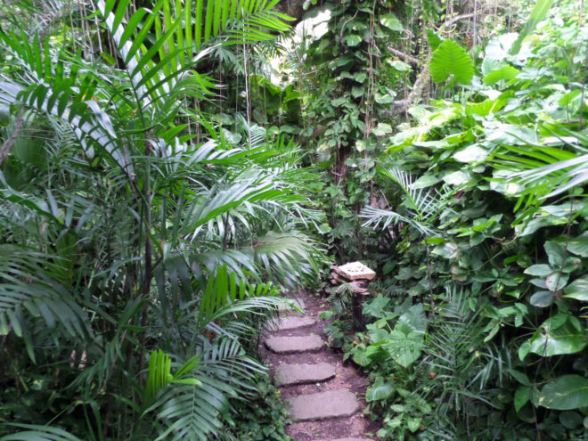 Xcaret Eco Park's Butterfly Pavilion