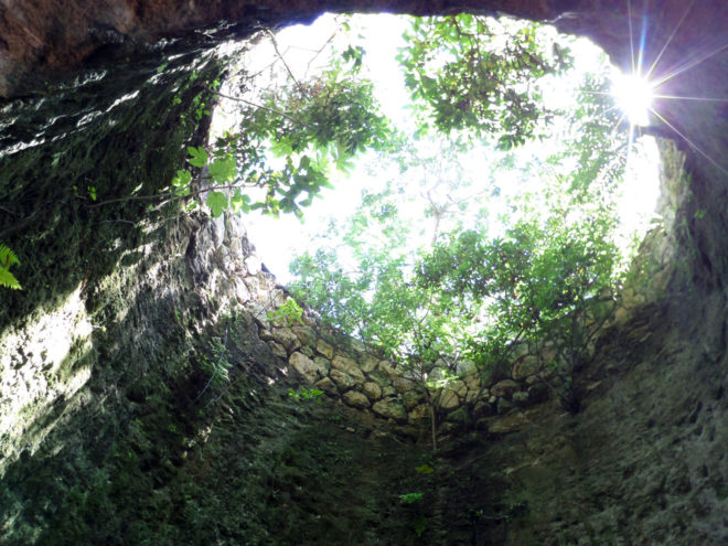 Xcaret Eco Park Cenote view from underground