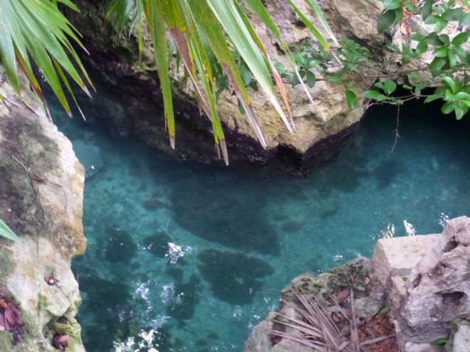 Aerial view of an underground river at Xcaret Eco Park