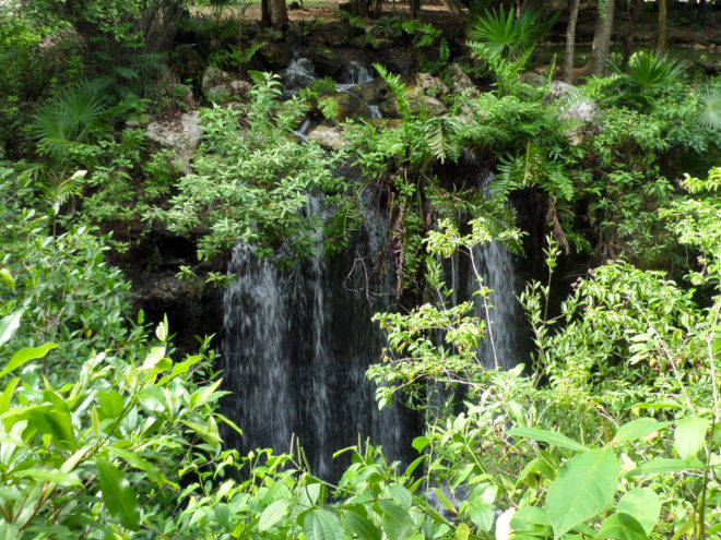 Waterfall of Xcaret Eco Park