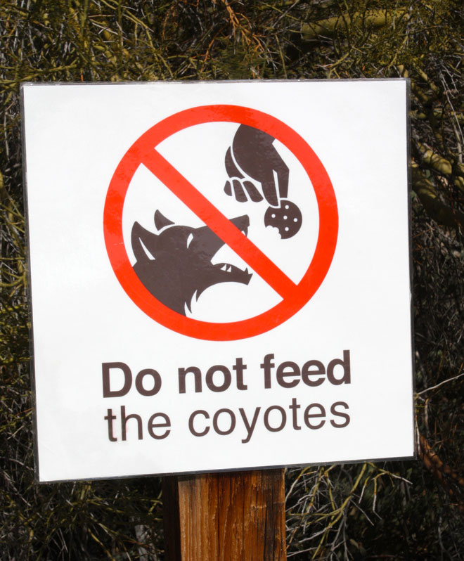 Funny Signs: Do Not Feed Coyotes