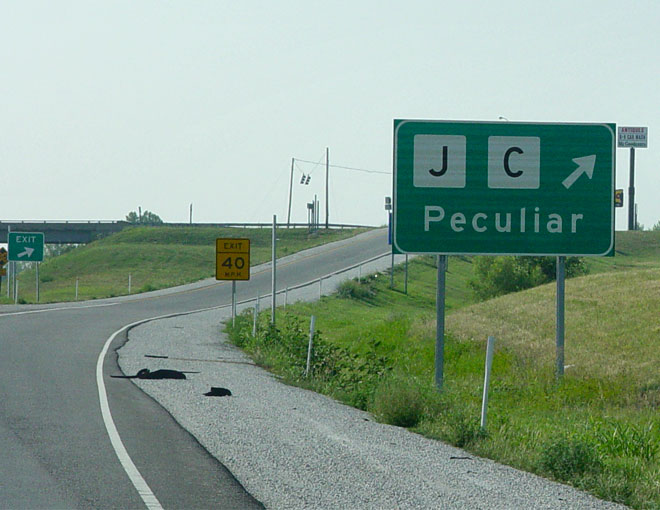 Peculiar Freeway Exit Sign