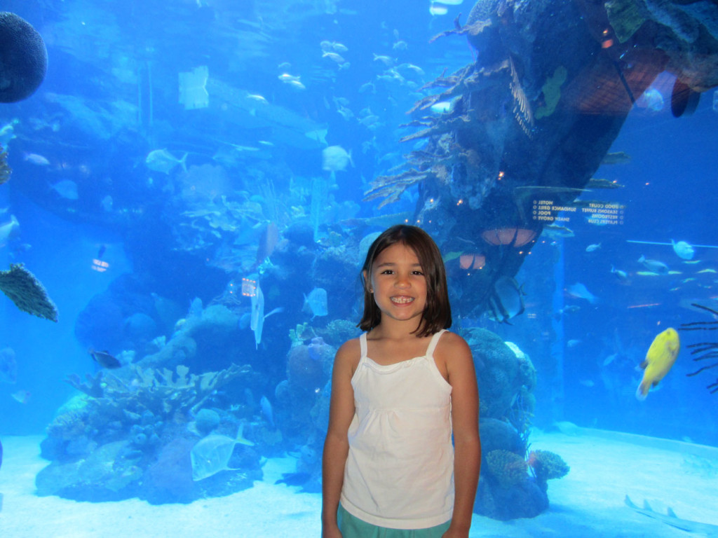 At the Silverton Aquarium