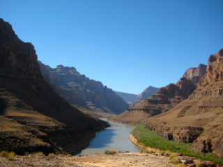 Grand Canyon View