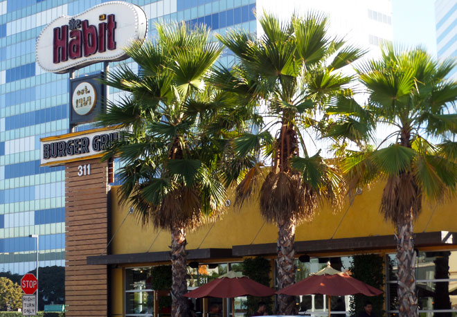 Places To Eat Near LAX: The Habit Burger Grill