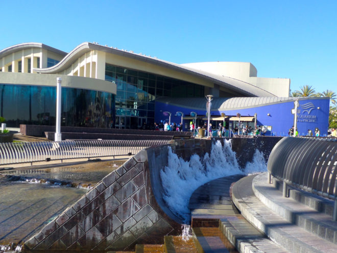 Aquarium of the Pacific Wave Fountain