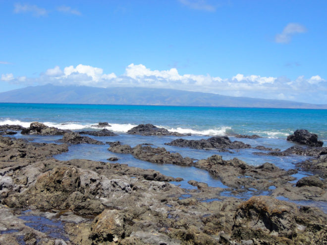 Napili Bay tidal rocks and tide pools