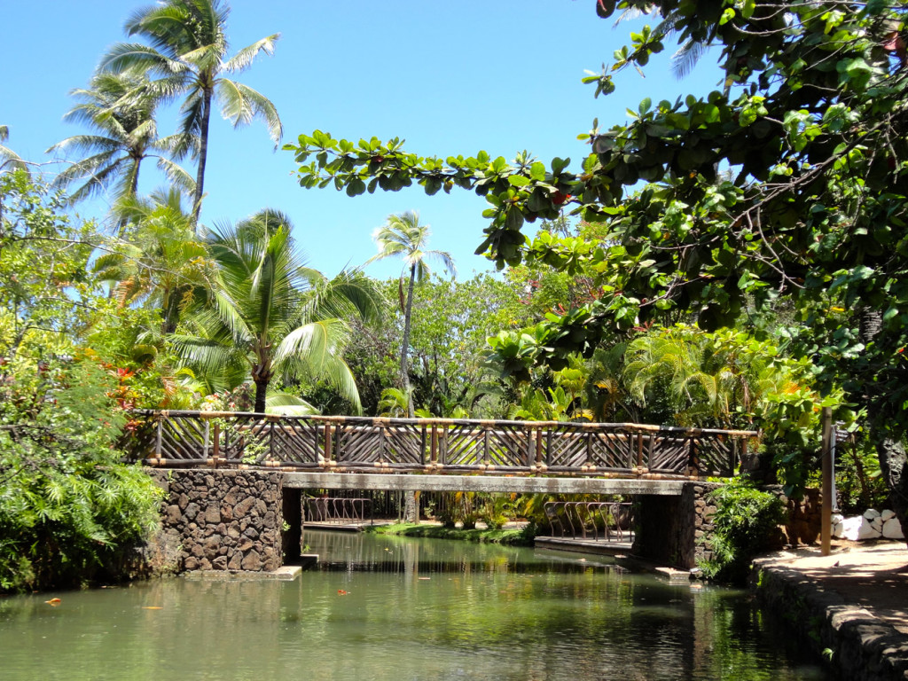 Polynesian Cultural Center Lagoon View