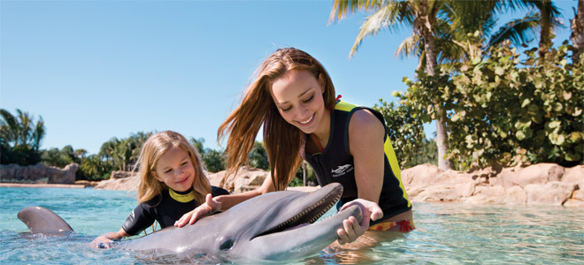 Swim with Dolphins  at Discovery Cove Orlando