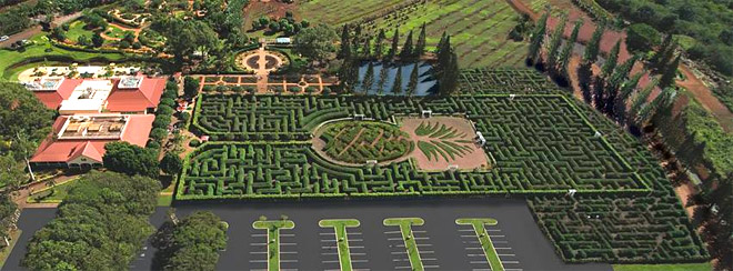 Dole's Pineapple Garden Maze