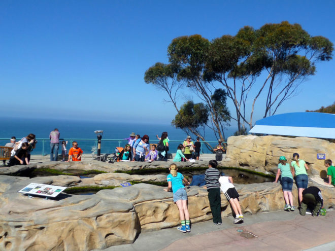 Birch Aquarium Preuss Tide-Pool Plaza