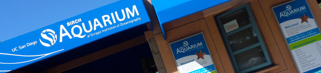 Ticket Window at Birch Aquarium at Scripps