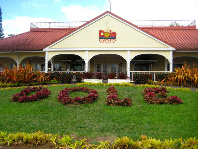 Oahu Circle Island Tour - Dole Plantation