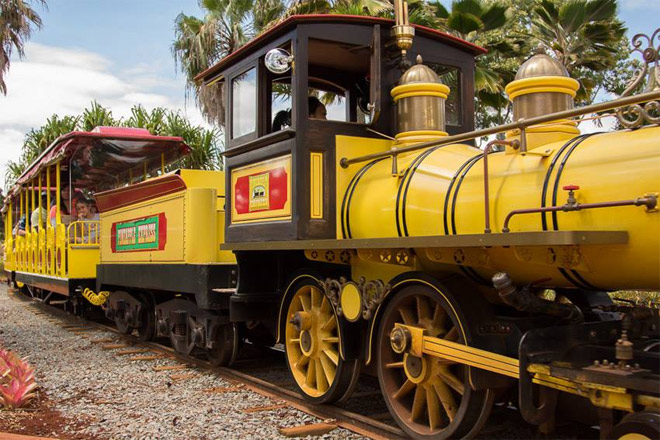 Dole Pineapple Express Train