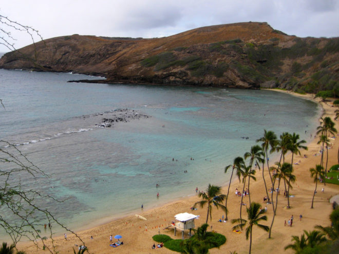 Oahu Circle Island Tour - Hanauma Bay