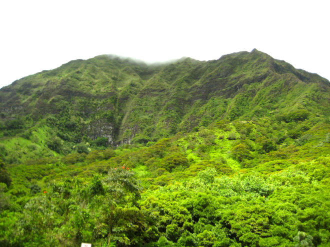 Koolau mountain