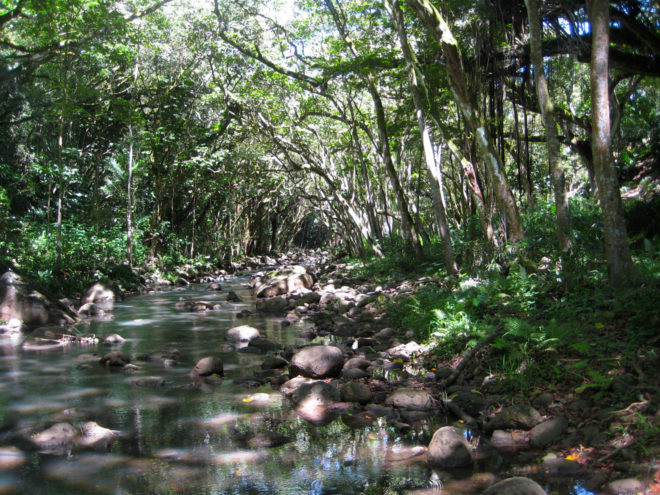 Waimea Valley River