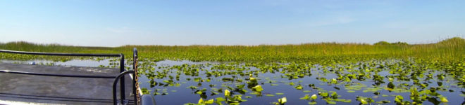 Boggy Creek Airboat Rides Panorama