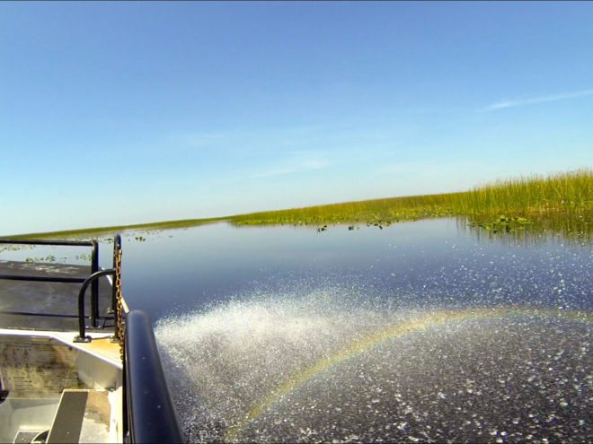 Boggy Creek Airboat speeding through the Kissimmee wetlands