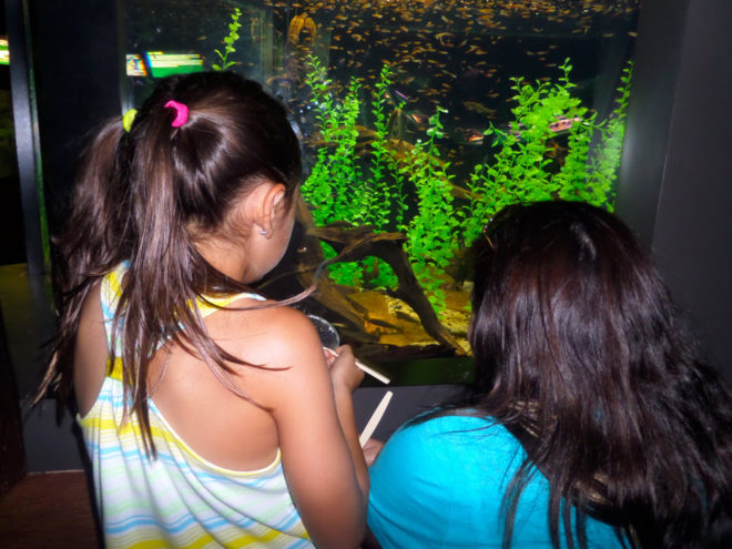 Laura and Madi at Freshwater Aquarum