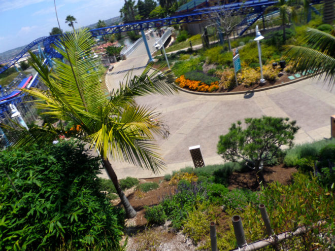 Manta Roller Coaster POV