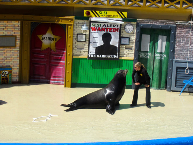 SeaWorld Sea Lions Live Show