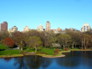 Central Park in New York City