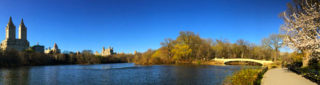 Panorama of Central Park in New York City