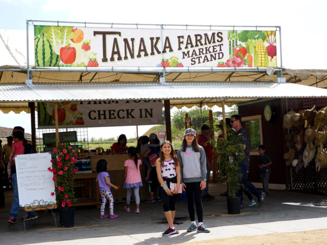 Tanaka Farms Market Stand