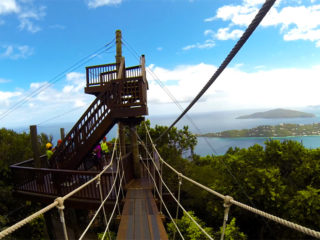 Tree Limin' Extreme Ziplines in St. Thomas