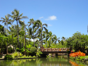 Oahu