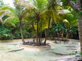 CrocoCun Zoo Crocodile Habitat