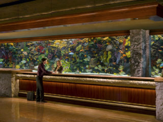 The Mirage's lobby aquarium