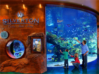 Silverton Aquarium