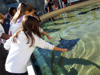 Aquarium of the Pacific Photo Gallery