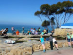 Birch Aquarium At Scripps is Small Yet Enjoyable