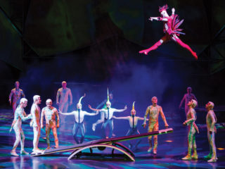 Planche routine from Mystere by Cirque du Soleil