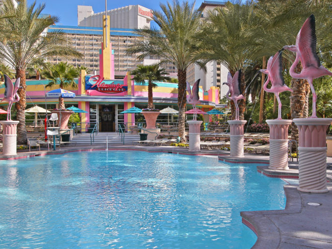 Flamingo Hotel Beach Club Pool