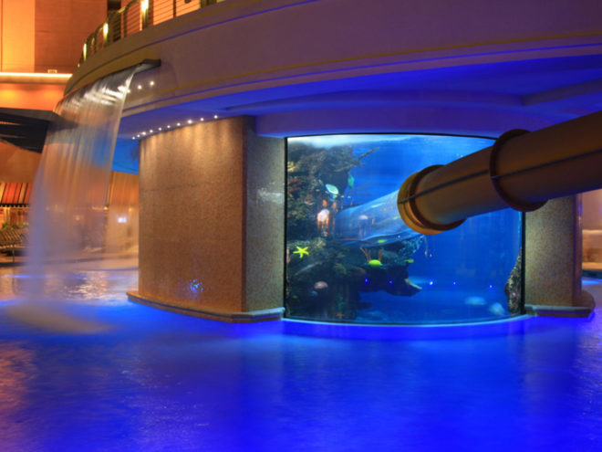 The Tank swimming pool at the Golden Nugget