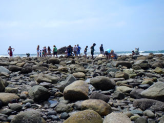 Leo Carillo Beach and Tide Pools