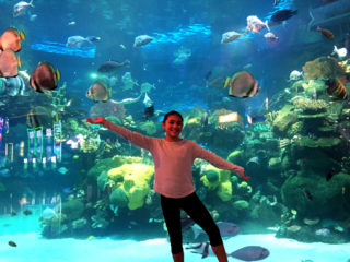 Silverton Hotel Aquarium
