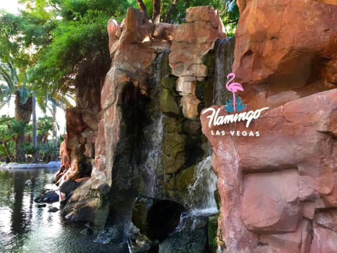 Flamingo Hotel's Wildlife Habitat Waterfalls